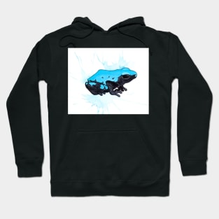 A. Galactonotus "Blue Splash-Backed" Dart Frog Hoodie